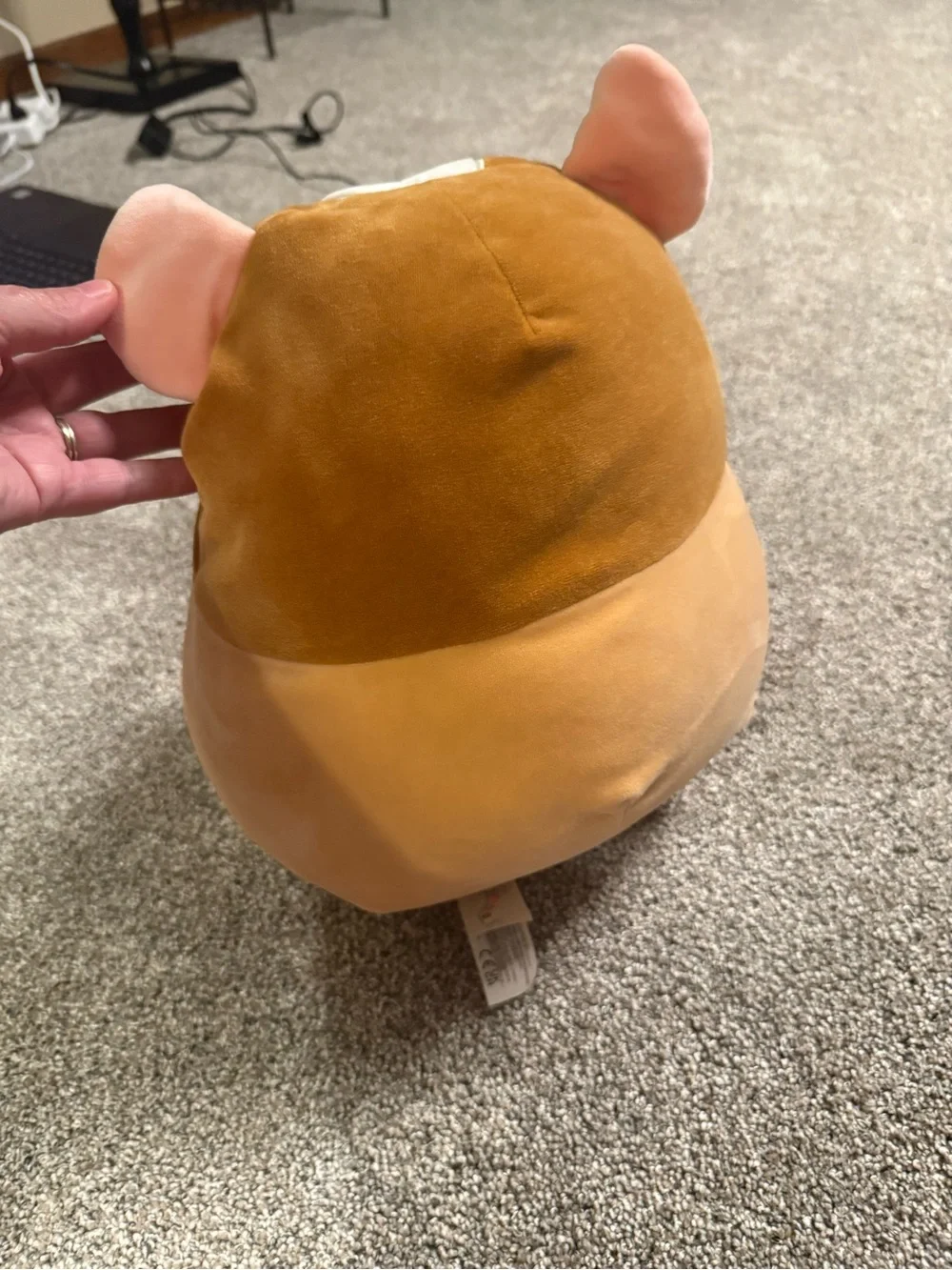 Tan/white Squishmallow hamster - smoke free home and no marks, tips, stains